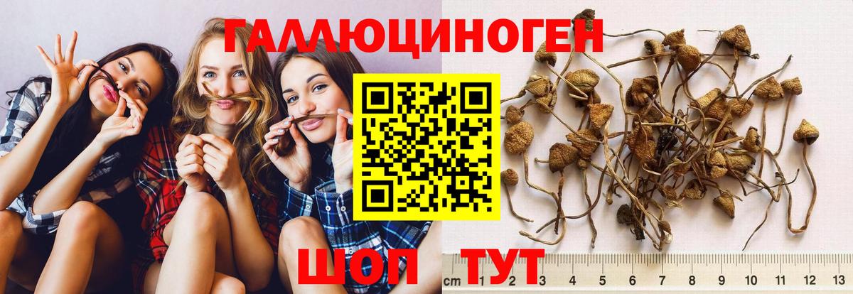 Галлюциногенные грибы Magic Shrooms Искитим