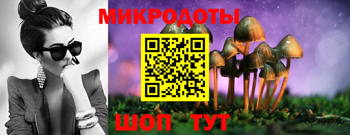 Искитим  Псилоцибиновые грибы Cubensis  Вход с VPN 